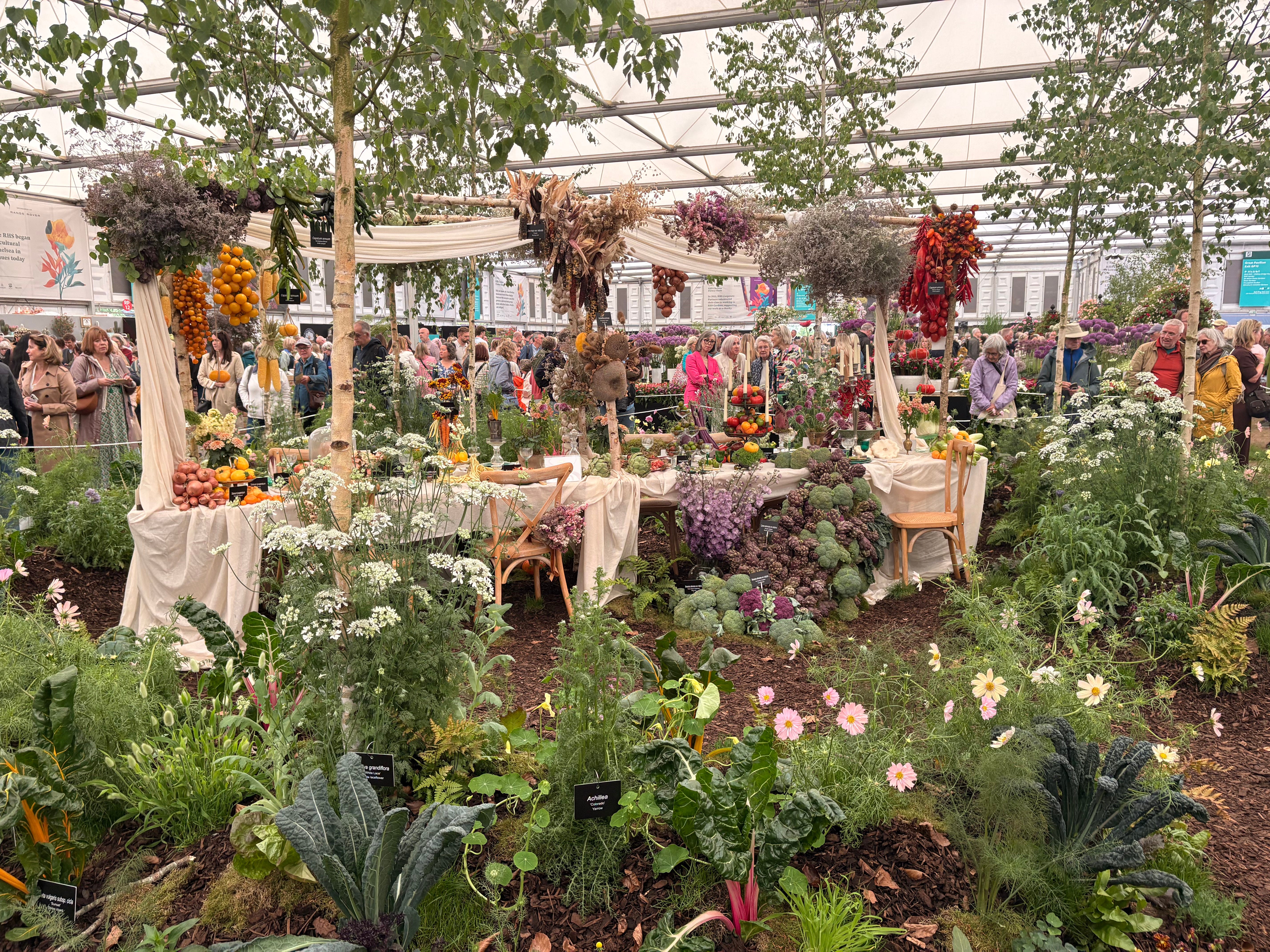 Blooming Brilliant - Frances Rivetti
