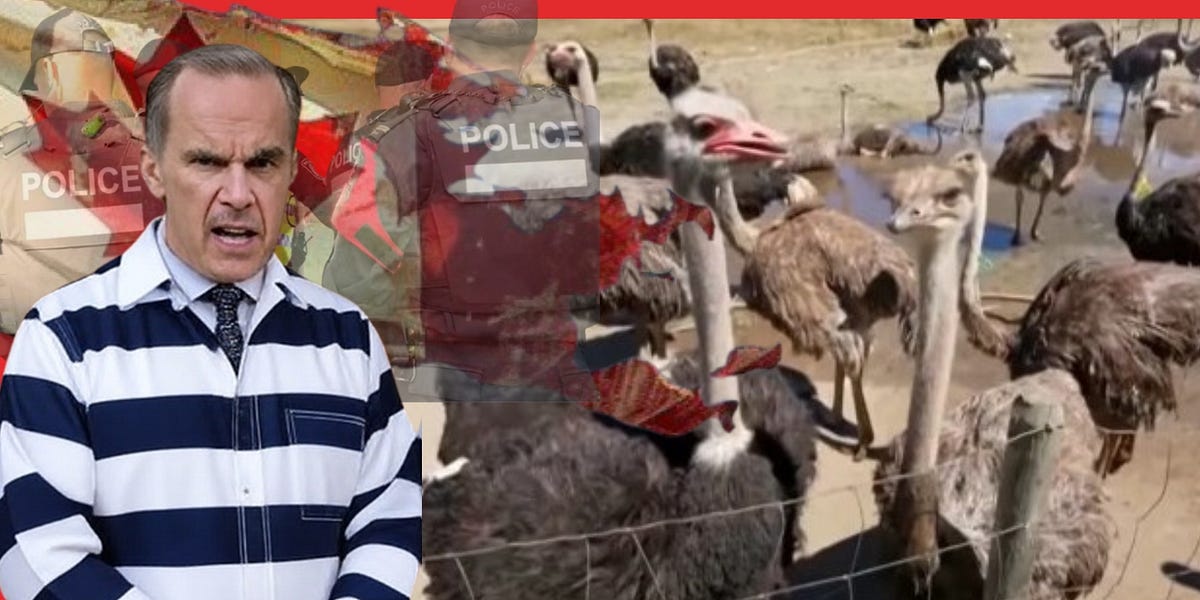 Canada is a Safe Haven for Thugs