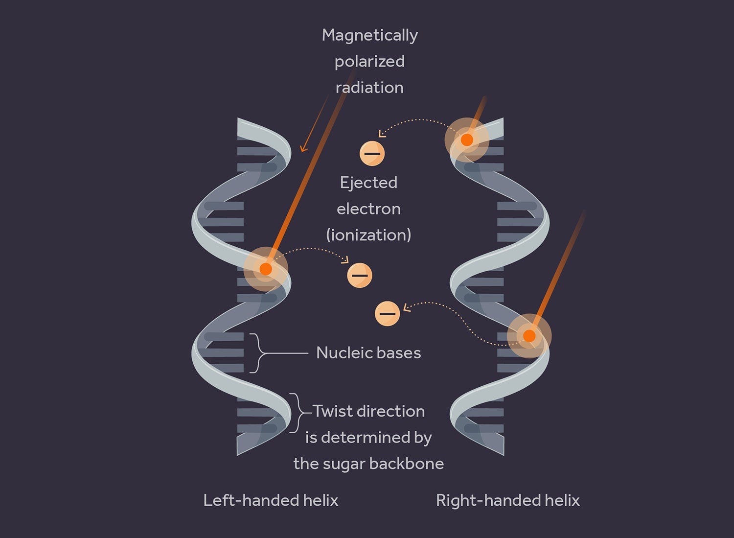 When matter came alive: the physics of life’s emergence
