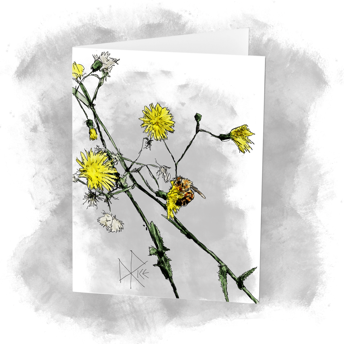 A bee clings to a flower head of a hawkweed oxtongue plant. Sketch art by Don Rice. A bee clings to a flower head of a hawkweed oxtongue plant. Sketch art by Don Rice.
