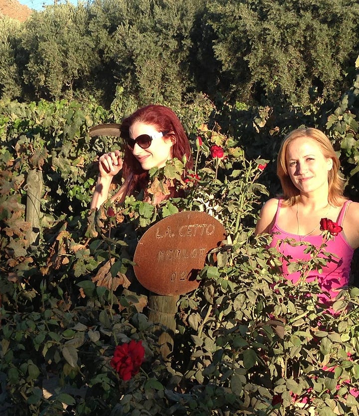Pic of Jamie and Jennifer in a Rose Garden on the Left, Pic of Jen at the poker table, just before she was eliminated by Jamie in the 2024 WSOP Ladies Event