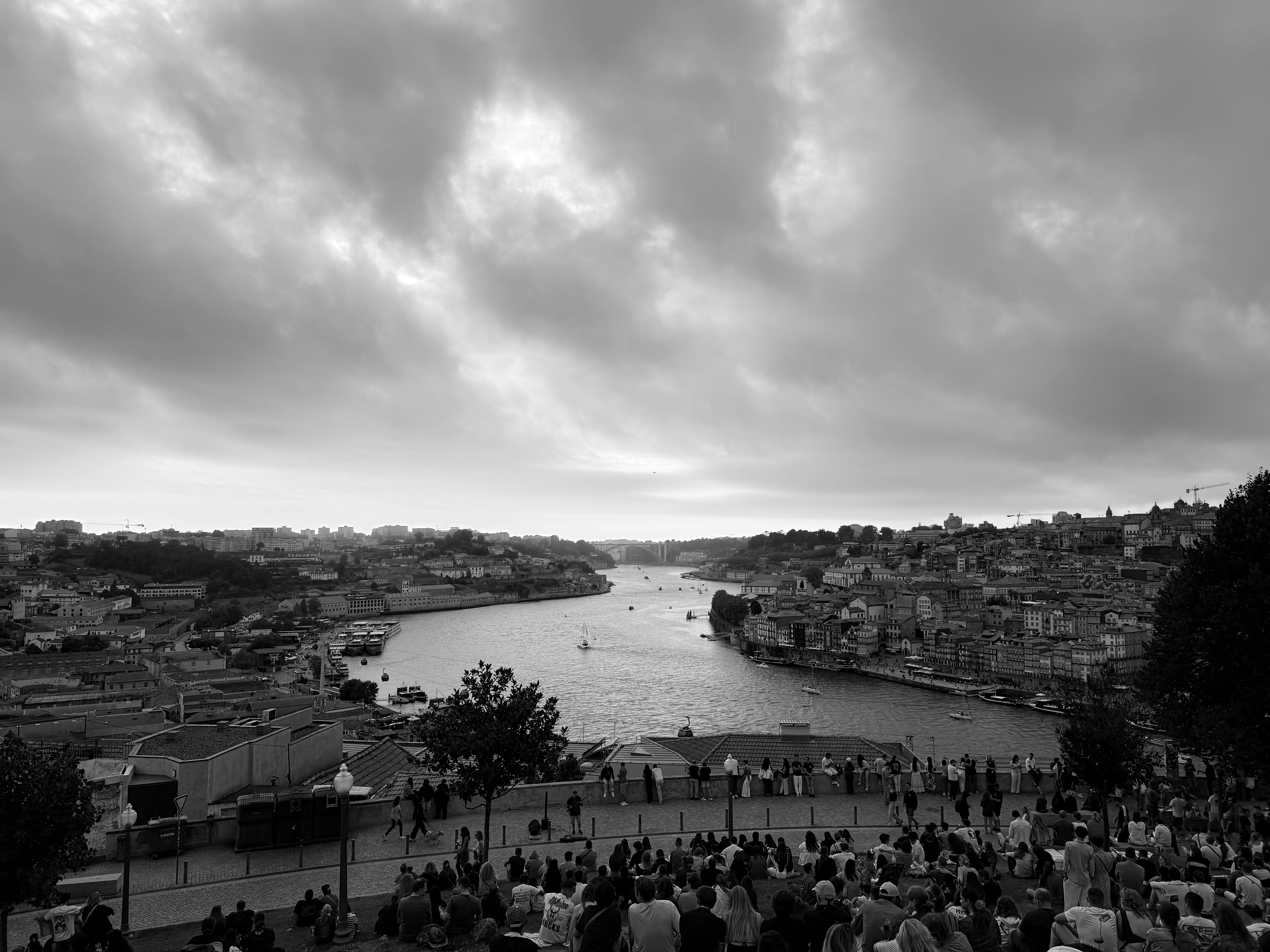 The AI Middle Ground