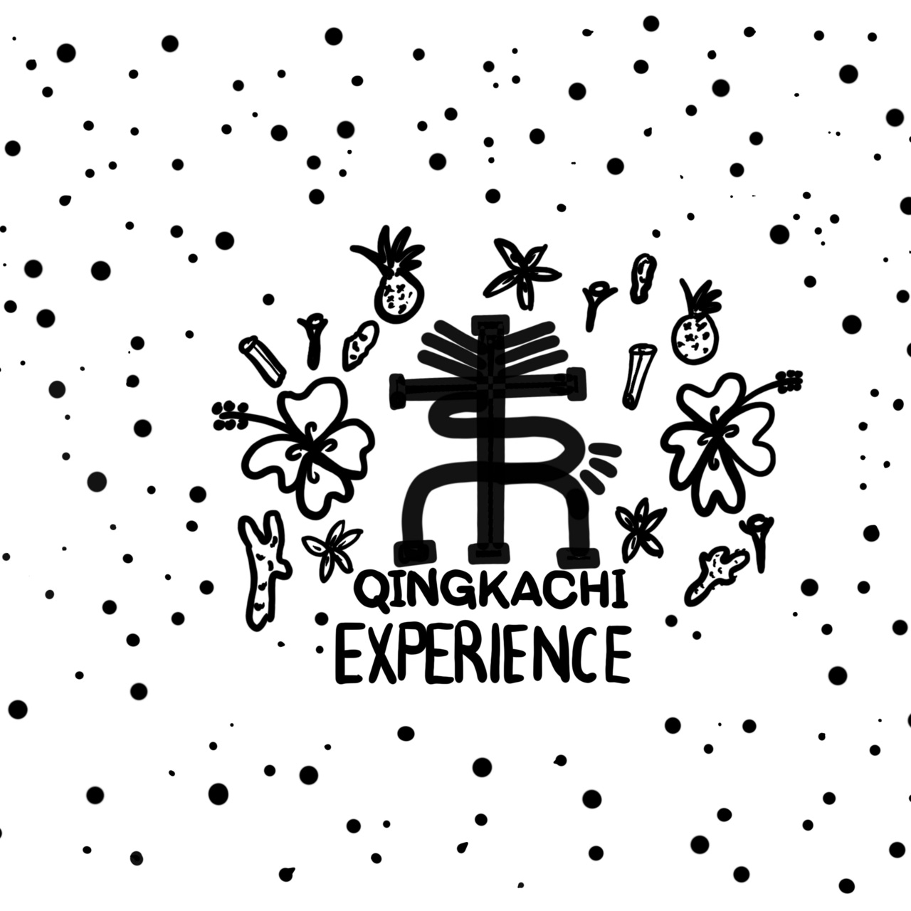 QINGKACHI EXPERIENCE