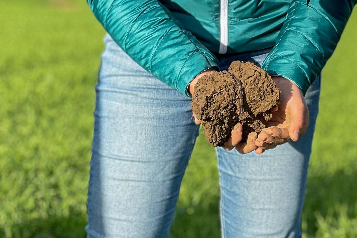 Nahaufnahme der Hände einer jungen Landwirtin, die eine Bodenprobe hält. Die Erde wirkt locker und krümelig, und aus ihr kriecht ein Regenwurm hervor, ein Zeichen für gesunden Boden. Die Landwirtin trägt eine türkisfarbene Jacke und Jeans, während sie auf einem grünen Feld steht. Die Szene vermittelt ein Gefühl von Nachhaltigkeit und Naturverbundenheit in der Landwirtschaft. Der Fokus liegt auf der Bedeutung von Bodenlebewesen für die Bodenfruchtbarkeit. Nahaufnahme der Hände einer jungen Landwirtin, die eine Bodenprobe hält. Die Erde wirkt locker und krümelig, und aus ihr kriecht ein Regenwurm hervor, ein Zeichen für gesunden Boden. Die Landwirtin trägt eine türkisfarbene Jacke und Jeans, während sie auf einem grünen Feld steht. Die Szene vermittelt ein Gefühl von Nachhaltigkeit und Naturverbundenheit in der Landwirtschaft. Der Fokus liegt auf der Bedeutung von Bodenlebewesen für die Bodenfruchtbarkeit.