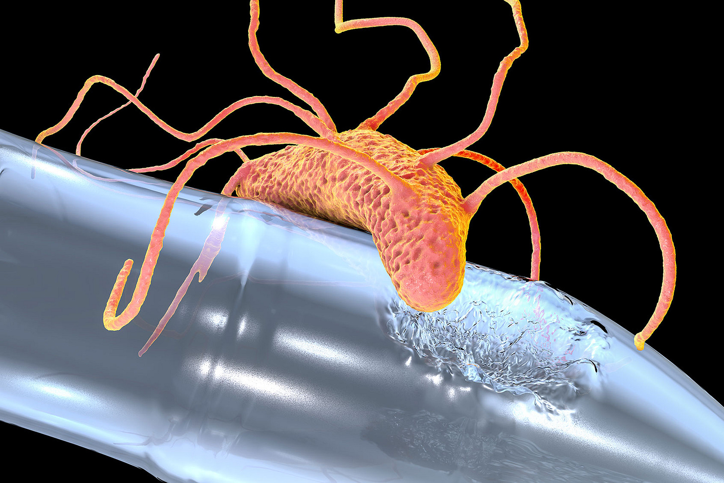 Plastic-degrading bacteria Ideonella sakaiensis, 3D illustration (Getty Images/Dr_Microbe)