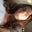 Lily Sperry's avatar