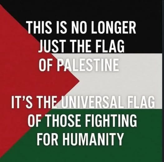 May be an image of text that says 'THIS IS NO LONGER JUST THE FLAG OF PALESTINE IT'S THE UNIVERSAL FLAG OF THOSE FIGHTING FOR HUMANITY'