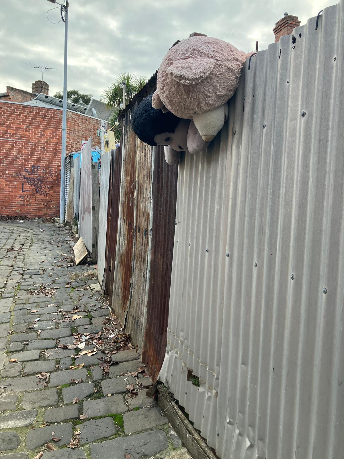 Photo of two giant soft toy heads leaning over a back fence