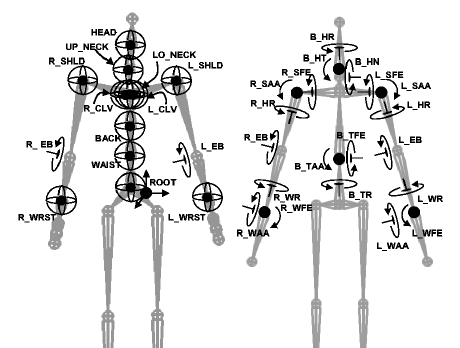 How Many DOF Does a Humanoid Robot Need? Engineering Analysis