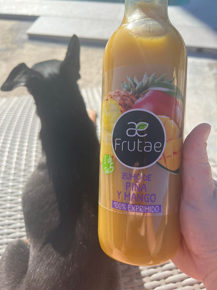 A Small Dog Named Paco