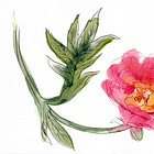 The power of loosening up