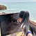 Sunny's avatar