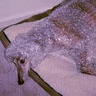 Summer’s Hottest Trend: Crashing Out