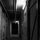 The Mad Ophelias: Chapter 6