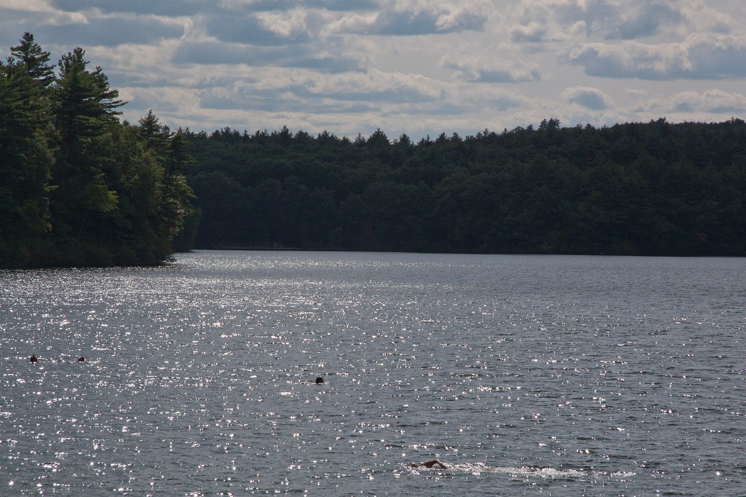 Sunlight shining on Walden Pond. A few swimmers are visible in the water.