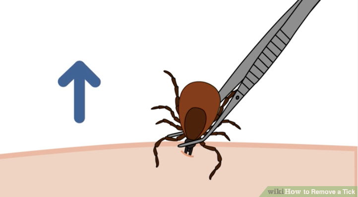 What is the "Hoax War Hypothesis" Exactly?