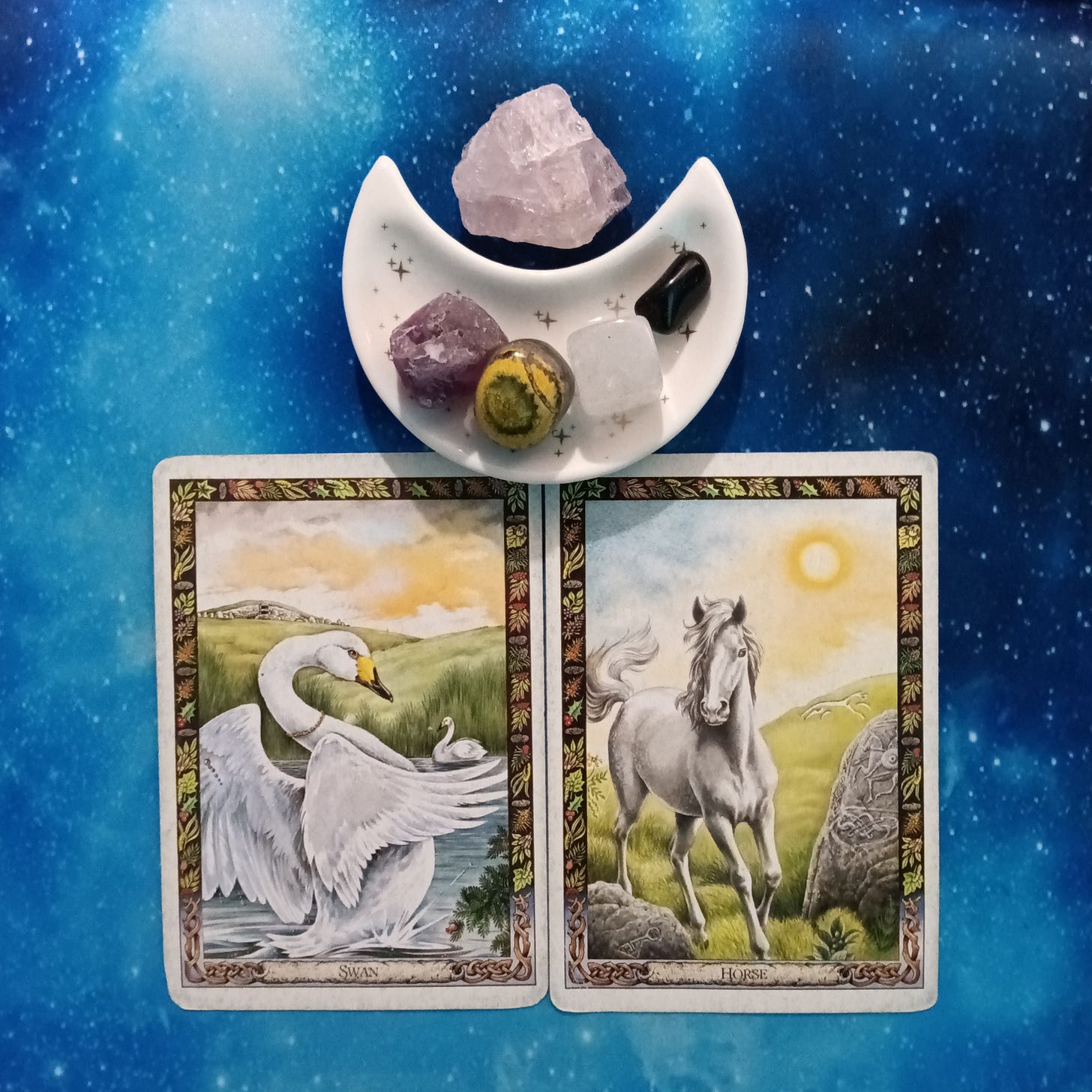 Druid Animal Oracle cards and crystals on a starry blue background Druid Animal Oracle cards and crystals on a starry blue background