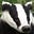 doreen's avatar