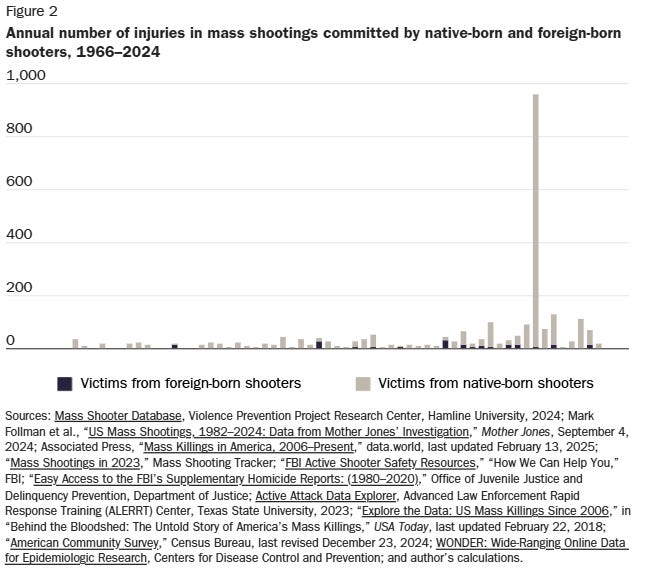 Risk Analysis of Mass Shootings Committed by Immigrants and Natives