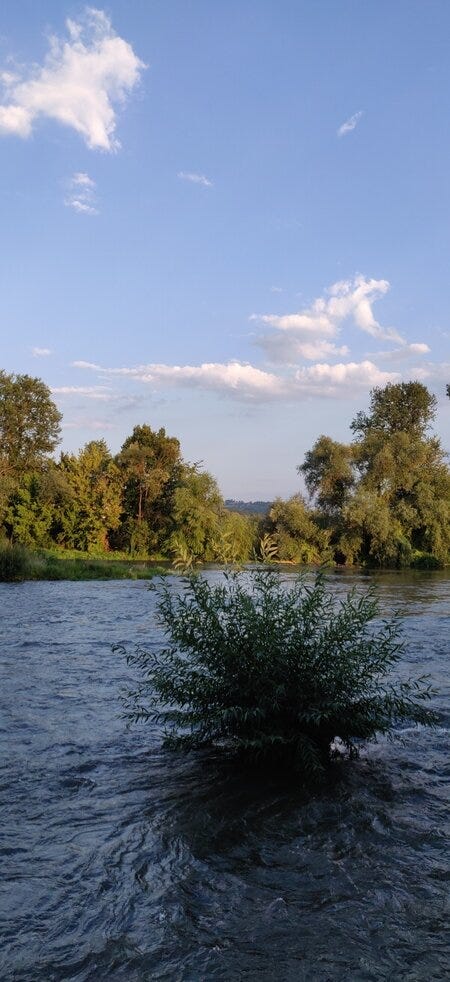 Webp.net-resizeimage-49.jpg Webp.net-resizeimage-49.jpg