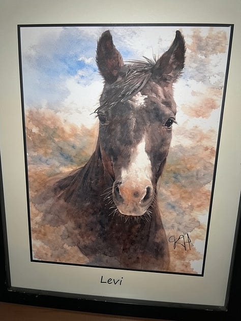 Paintings of horses by Krystal Hindman