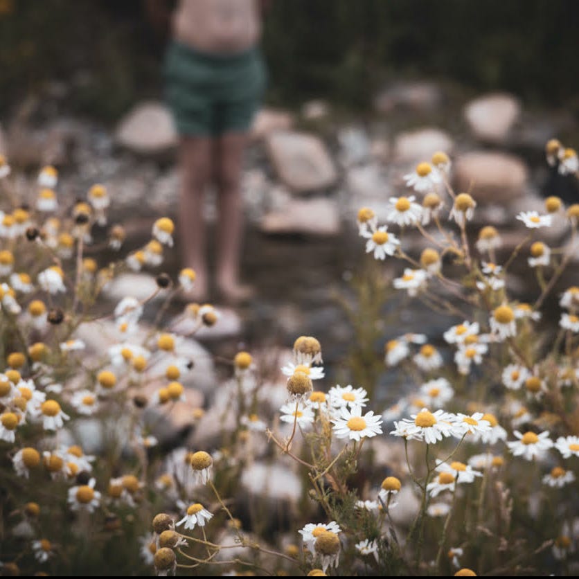 This Photographer's life