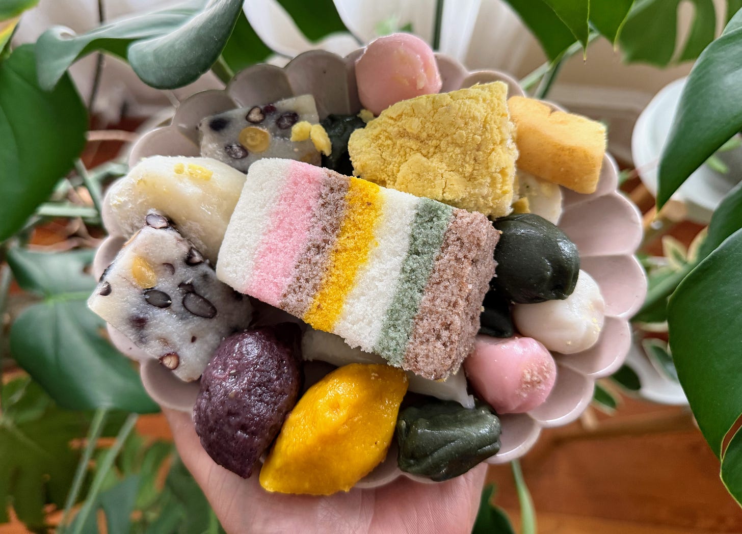 Hand holding plate of tteok