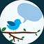 User's avatar