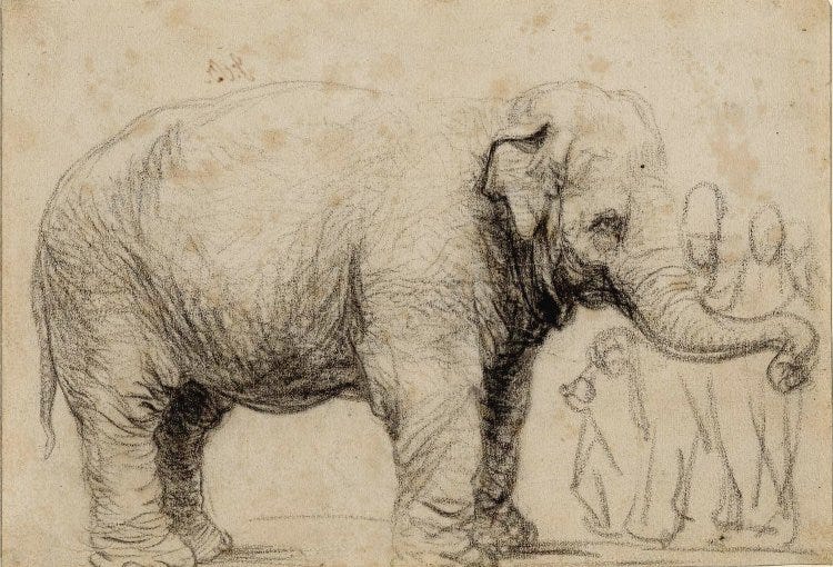Chalk drawing of elephant