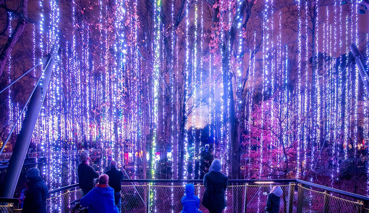 Atlanta Botanical Garden | Garden Lights, Holiday Nights