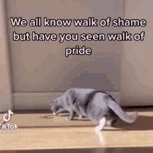 a cat is walking on a wooden floor with a caption that says we all know walk of shame but have you seen walk of pride a cat is walking on a wooden floor with a caption that says we all know walk of shame but have you seen walk of pride