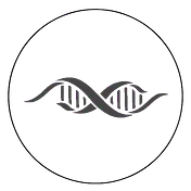 Genesis Chronicle logo