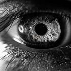 Le Dark Mode (partie 2)