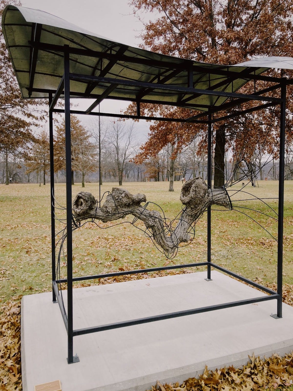 a sculpture of a tree root being held up by iron lines under a wavy metallic roof