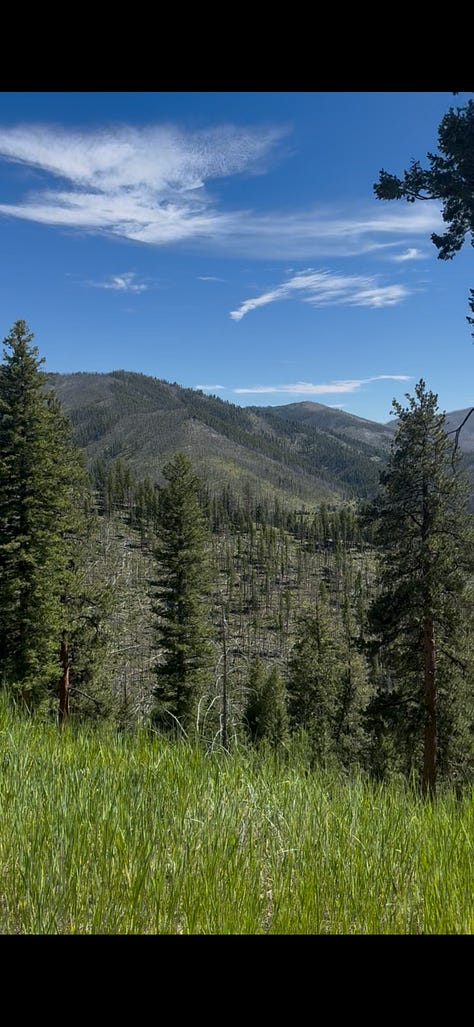 Take the road at the road bend to Horse Creek Pass