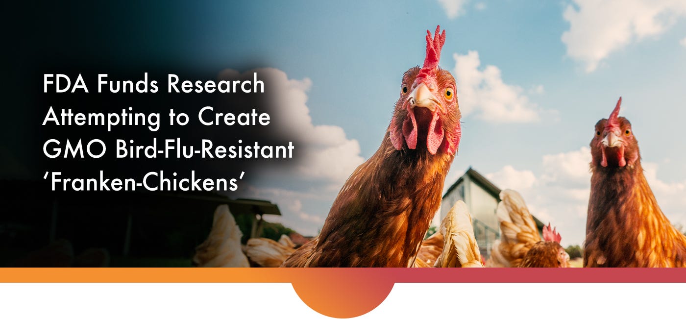 ICAN Legal Update: FDA Funds Research Attempting to Create GMO Bird-Flu-Resistant ‘Franken-Chickens’ ICAN Legal Update: FDA Funds Research Attempting to Create GMO Bird-Flu-Resistant ‘Franken-Chickens’