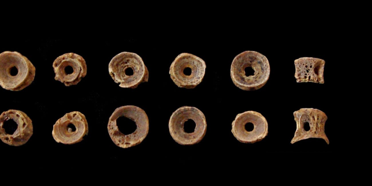 Decade of digs reveals Lindisfarne secrets