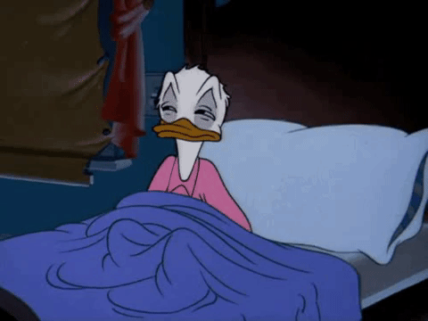 Sleep-in GIFs - Get the best GIF on GIPHY