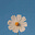 Evanora Yvainne's avatar