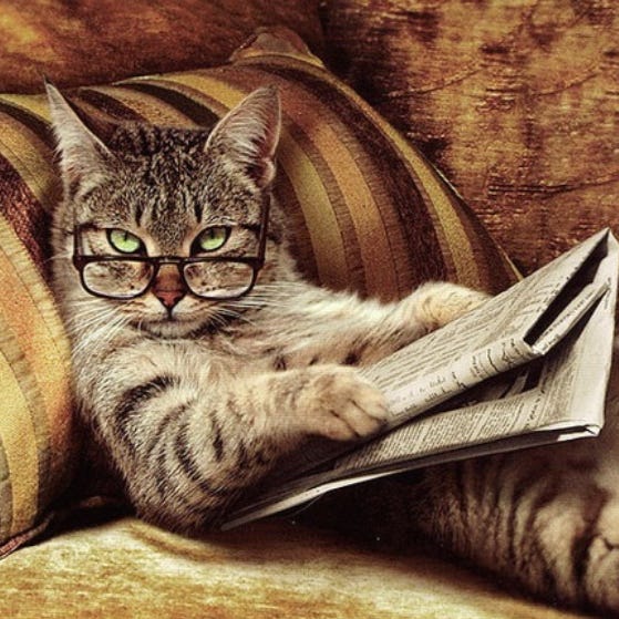 Screaming Into the Void