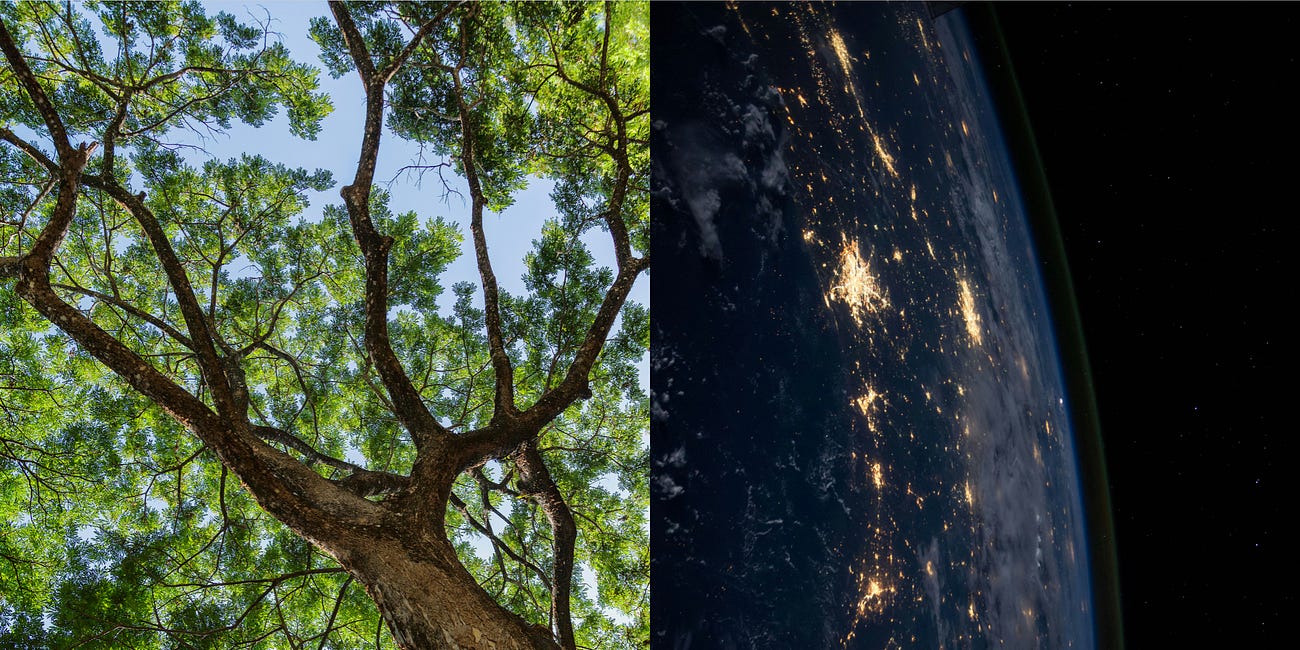 A Beginner’s Guide to Scientific Roadmapping 