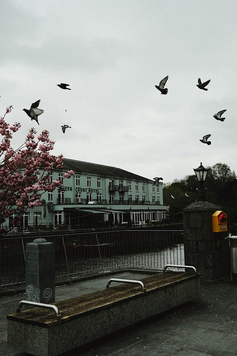 Ireland through Fuji photographs by Tyler Knott Gregson