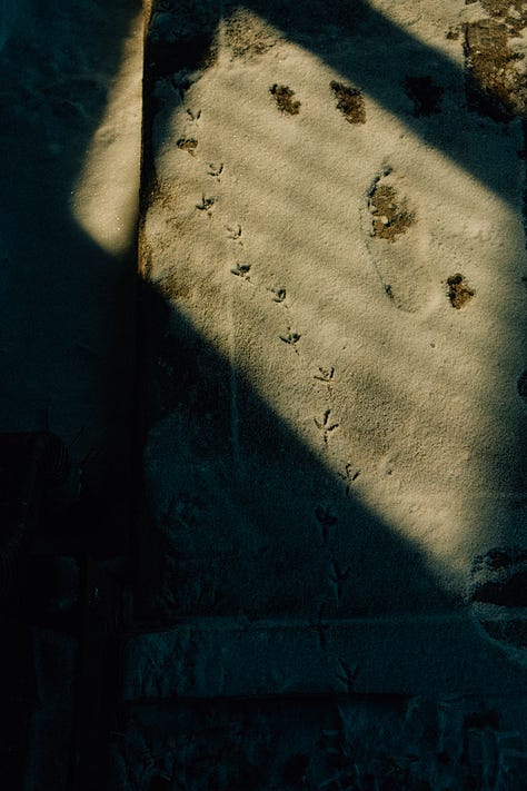 Fuji photographs of life in Montana by Tyler Knott Gregson