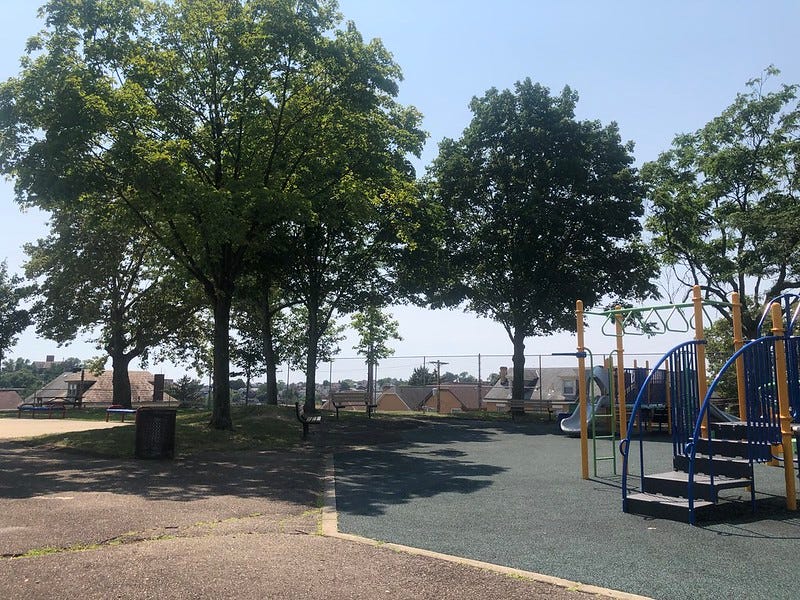 Arlington Playground and trees.