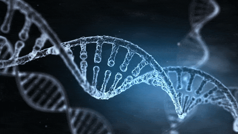 60-Year Scientific Mystery About DNA Replication Solved