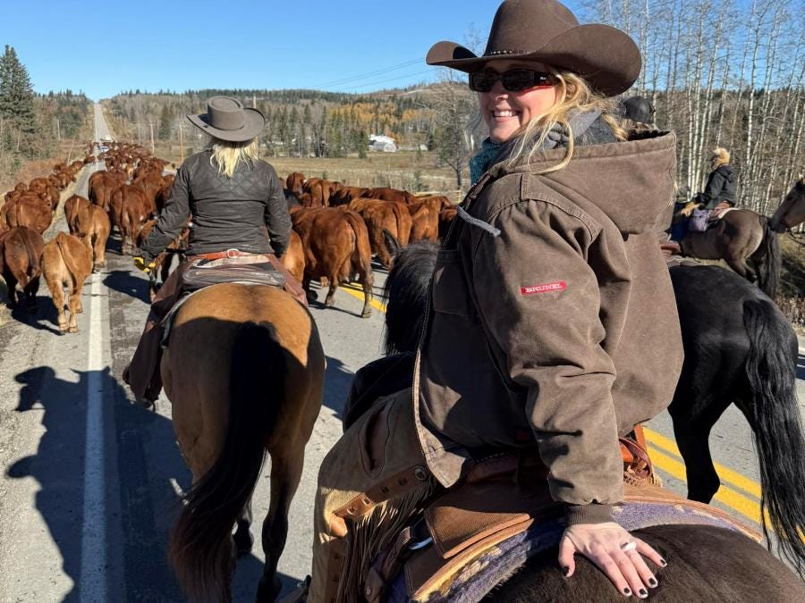 Bluerock Ranch cowboy/cowgirl internship in Alberta, Canada Bluerock Ranch cowboy/cowgirl internship in Alberta, Canada