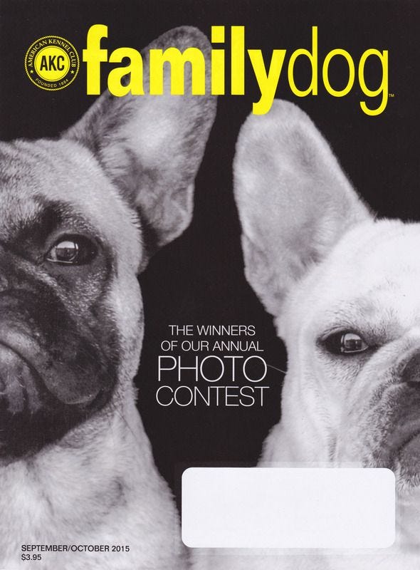 AKC Family Dog Magazine Sept Oct 2015 Canine Art Galleries the Lone Beader AKC Family Dog Magazine Sept Oct 2015 Canine Art Galleries the Lone Beader