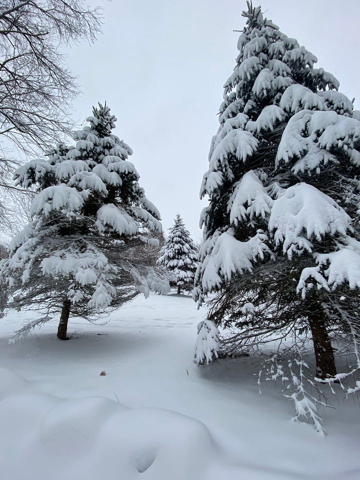 On a perfect wintery day on the Lakeshore Park trails
