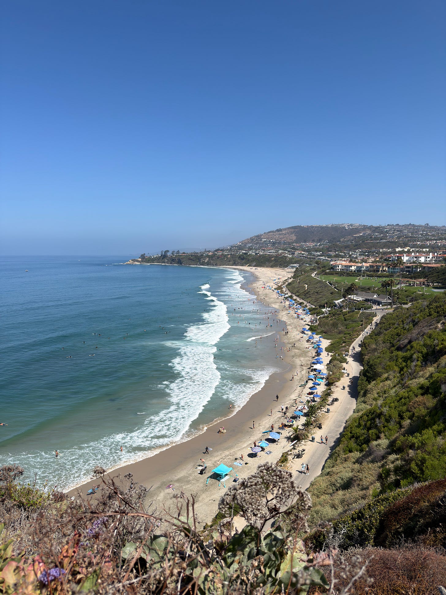 Elevated view of the Dana Point coastline with the Pacific Ocean, beach, and hillside homes