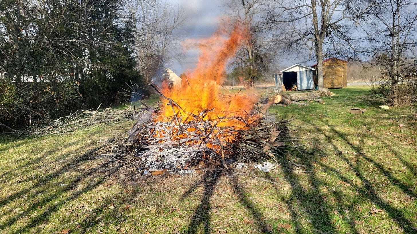 May be an image of fire and grass